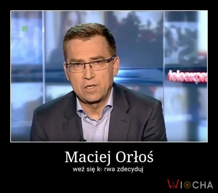 Maciej czy łoś?