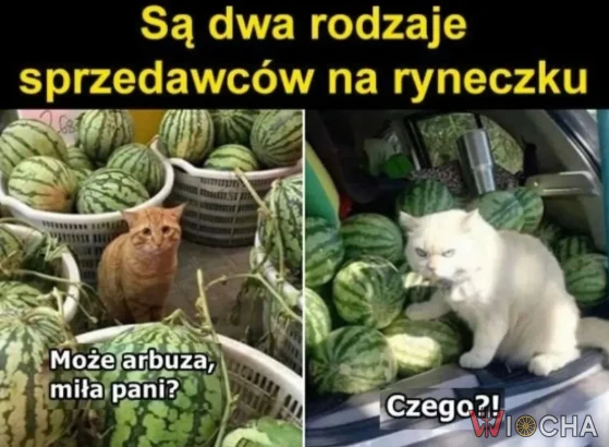 Dwa nastroje sprzedawców