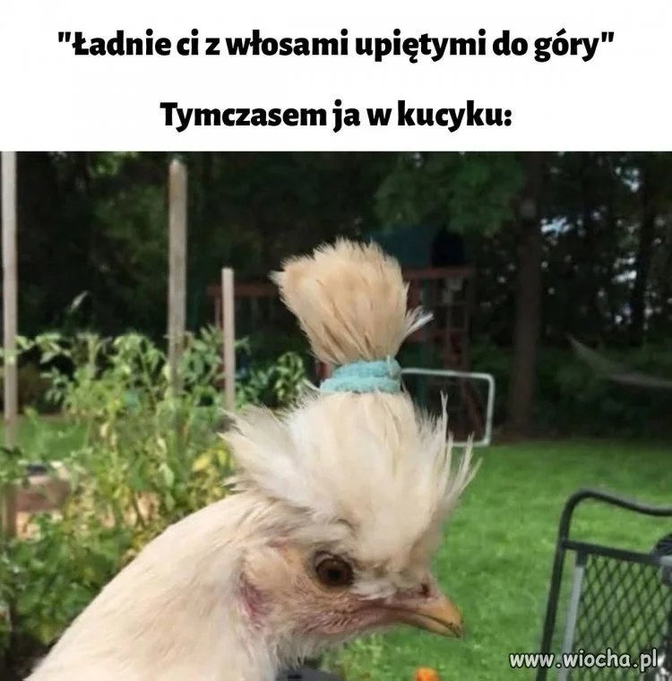 Kiedy fryzura mówi więcej niż słowa