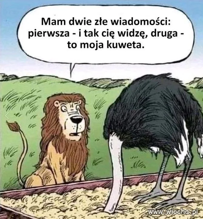 No tak bym powiedział 