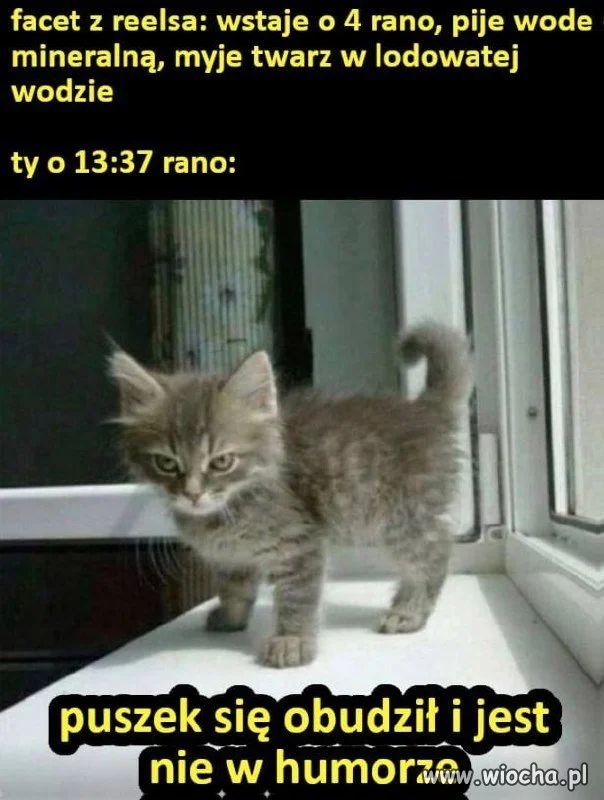 POV: moje poranki