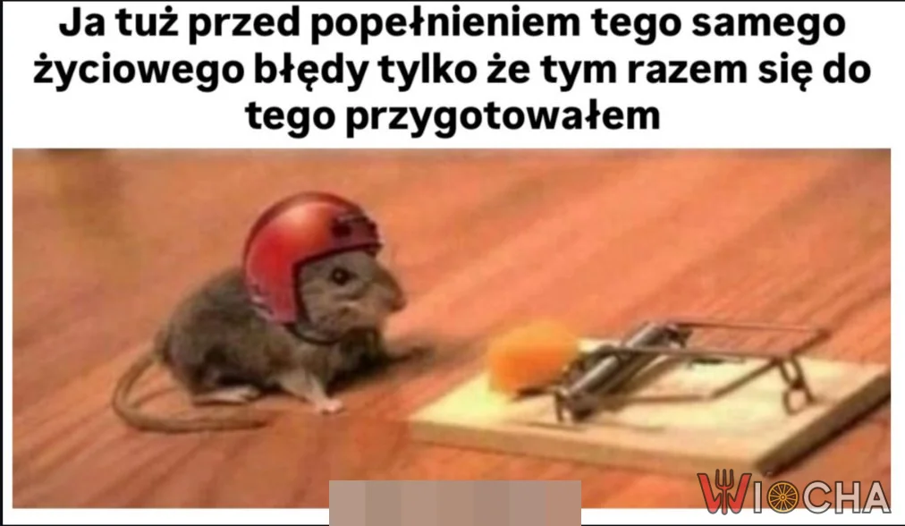 Zabezpieczony przed życiowymi błędami