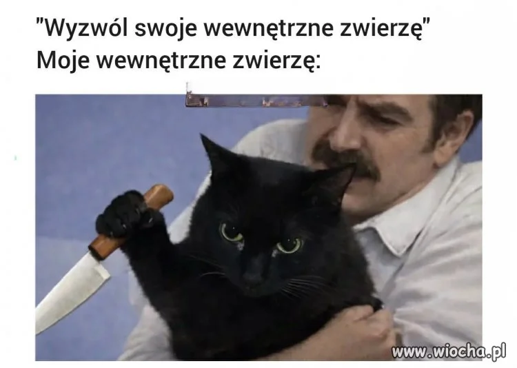 Nie mogę go wypuścić