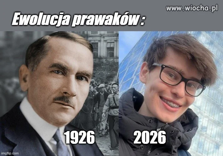 Tygrysku, zobacz