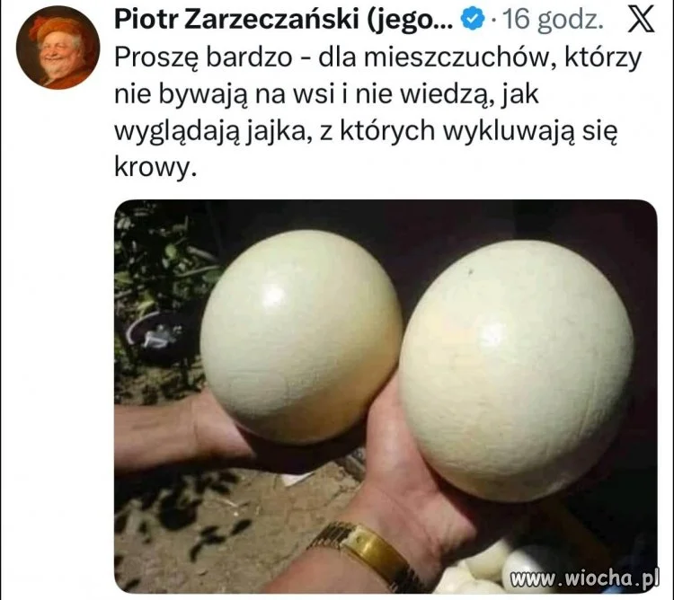 Jak wy nic nie wiecie o życiu