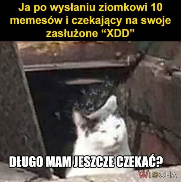 Czekam na reakcję