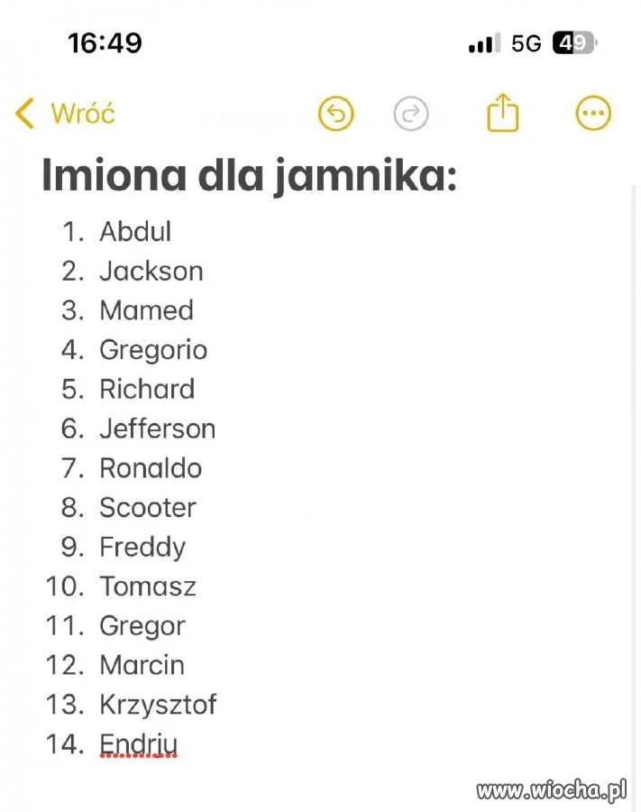 Abdul to bardzo ciekawe imię dla jamnika