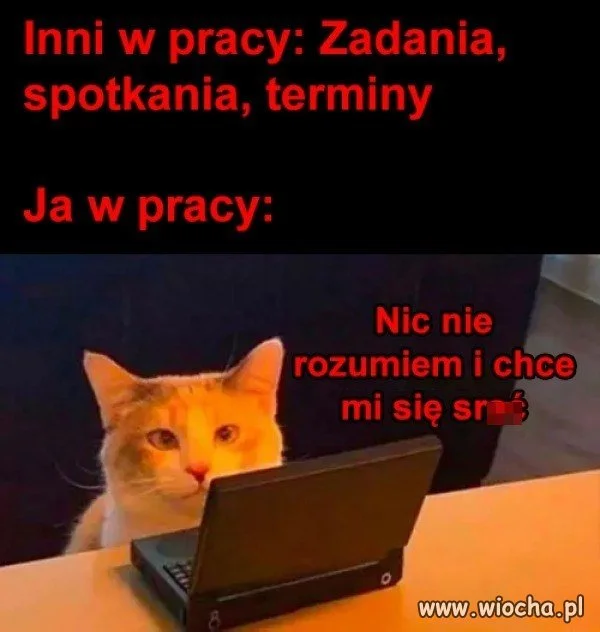 Szybka kawa, lunch, wizyta w toalecie
