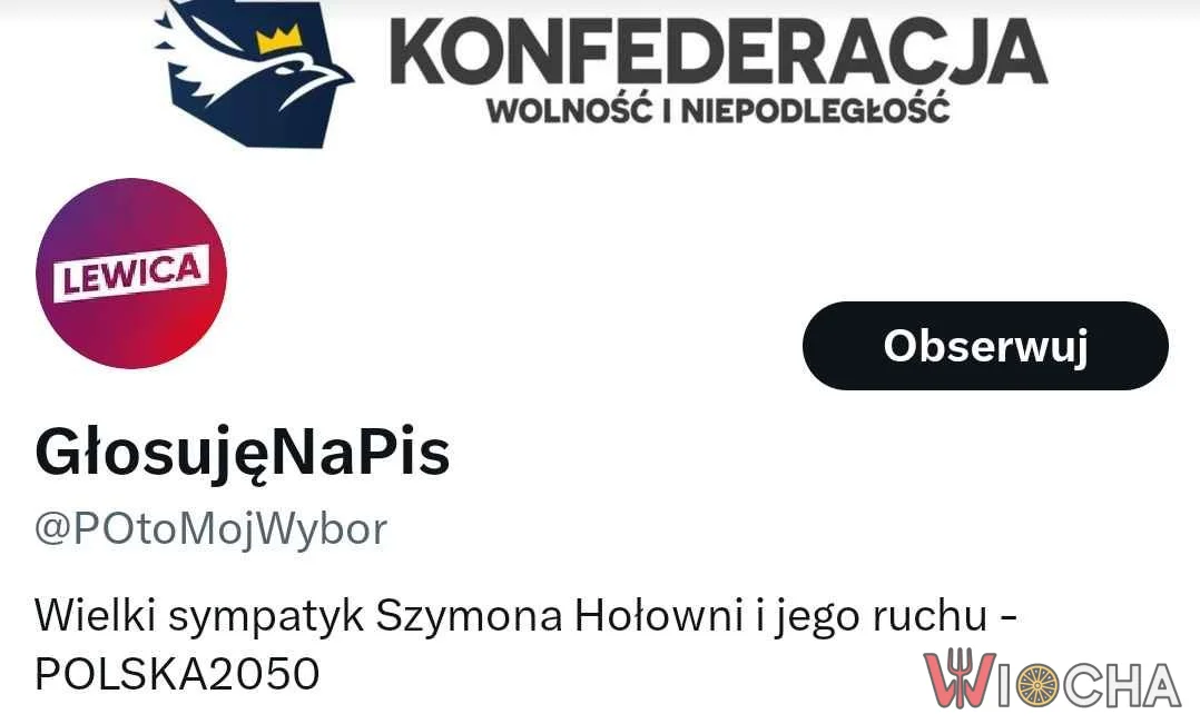 Pov: jesteś typowym polskim wyborcą