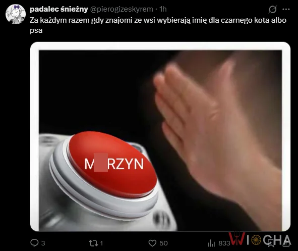 Klasyczne imię dla zwierzaka