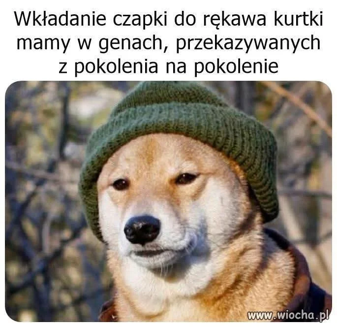 Tak samo jak przeznaczenie szuflady na reklamówki