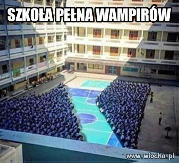 "Zmierzch" w prawdziwym życiu
