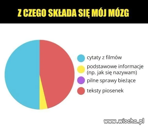 Teksty piosenek zajmują najwięcej miejsca