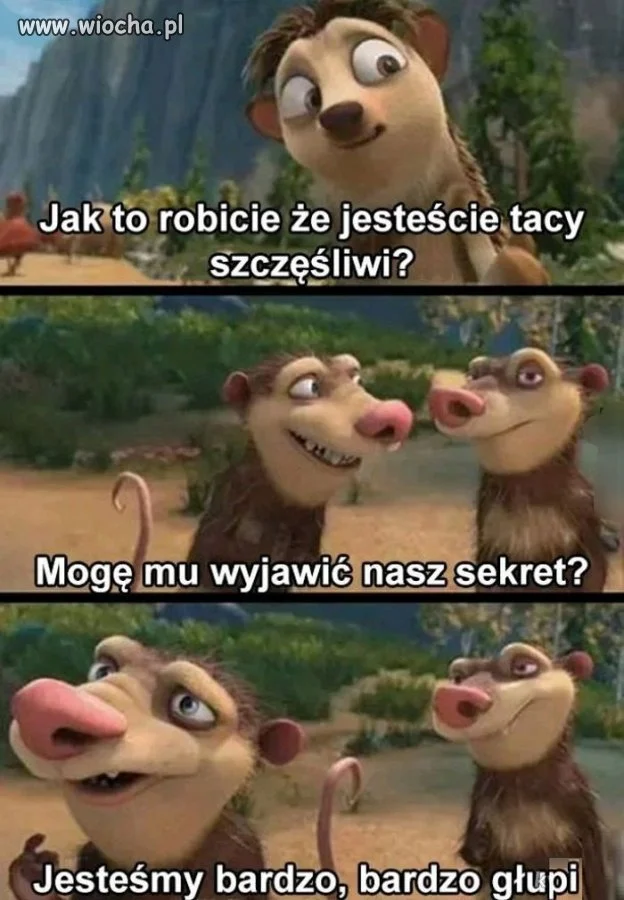 I to jest życie w którym o nic się nie martwisz 