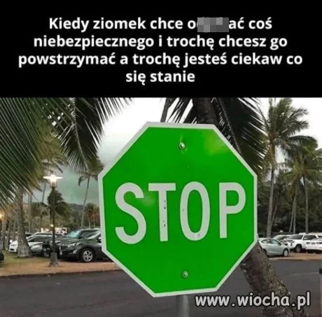 Trochę czerwona