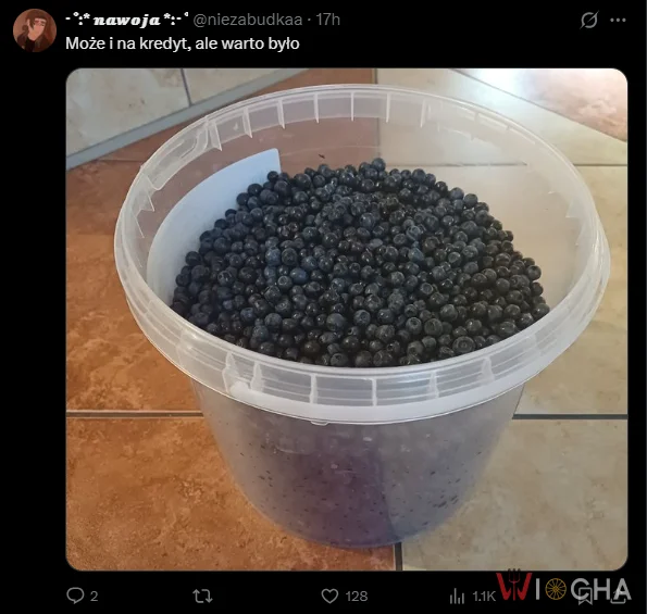 Owocowe zaciąganie kredytu