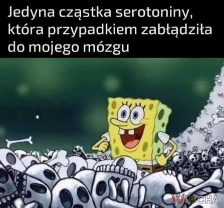Gdzie ta radość?