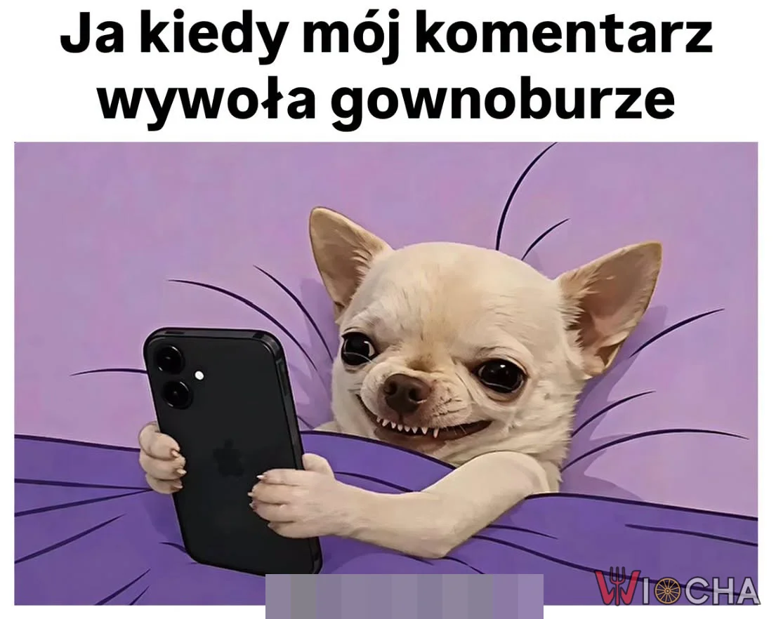 Czas na chaos