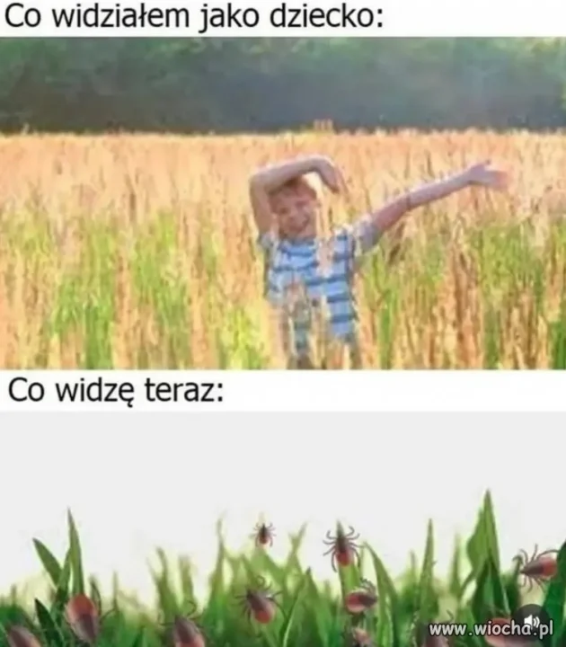 Kiedyś nie było kleszczy?