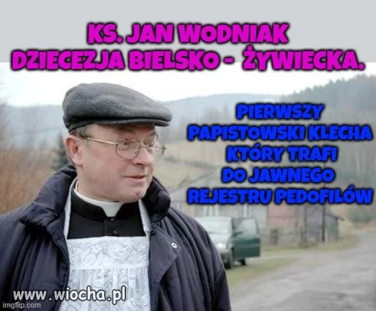 Daj borze sosnowy 