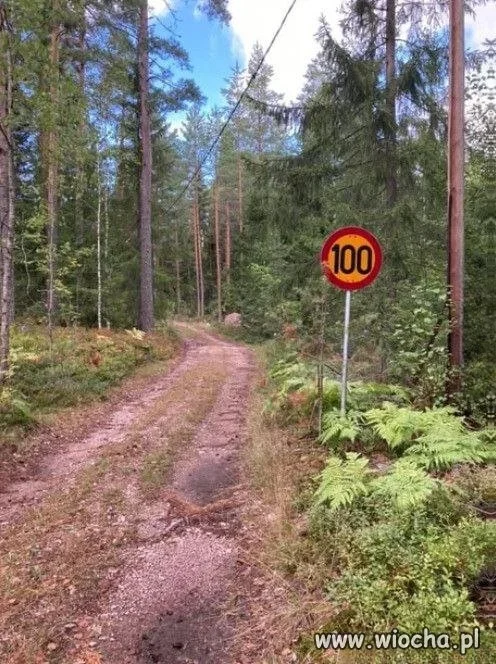 To propozycja dla tych, którzy lubią ryzyko