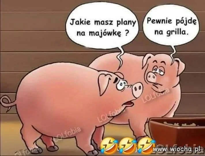 Jakie masz plany na majówkę