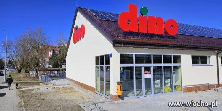 Ile stopni było dziś w waszym Dino?