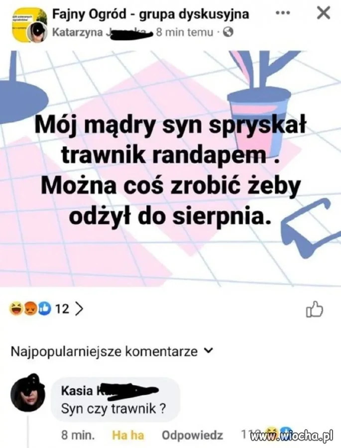 Można coś zrobić, żeby odżył do sierpnia?