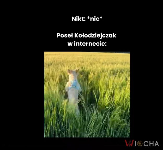 Polityka w naturze