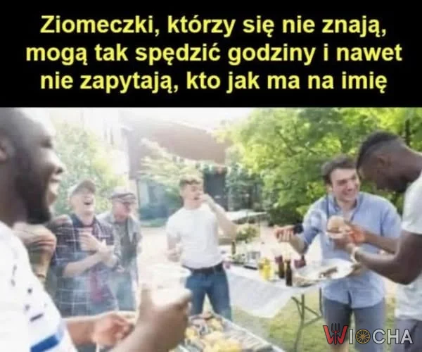 Po co pytać?