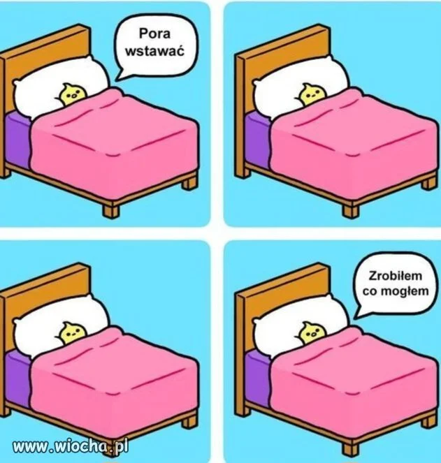I tak każdego poranka 