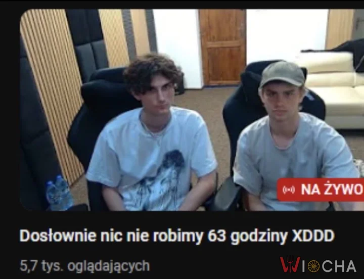 Dosłownie nic nie robią