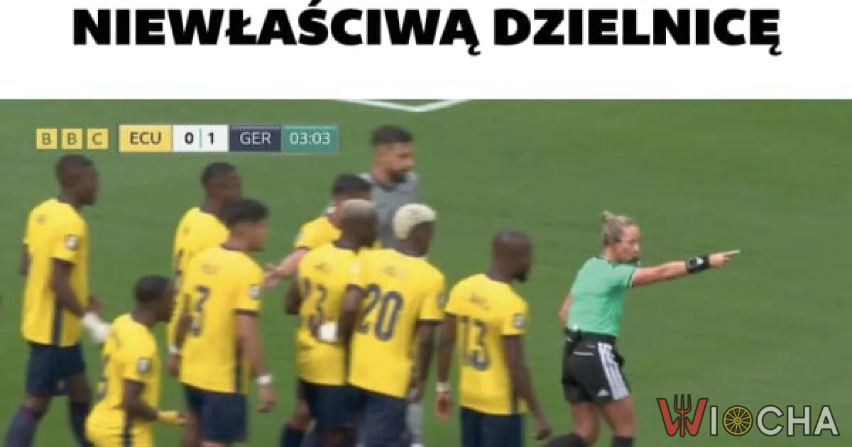I tak to właśnie wygląda