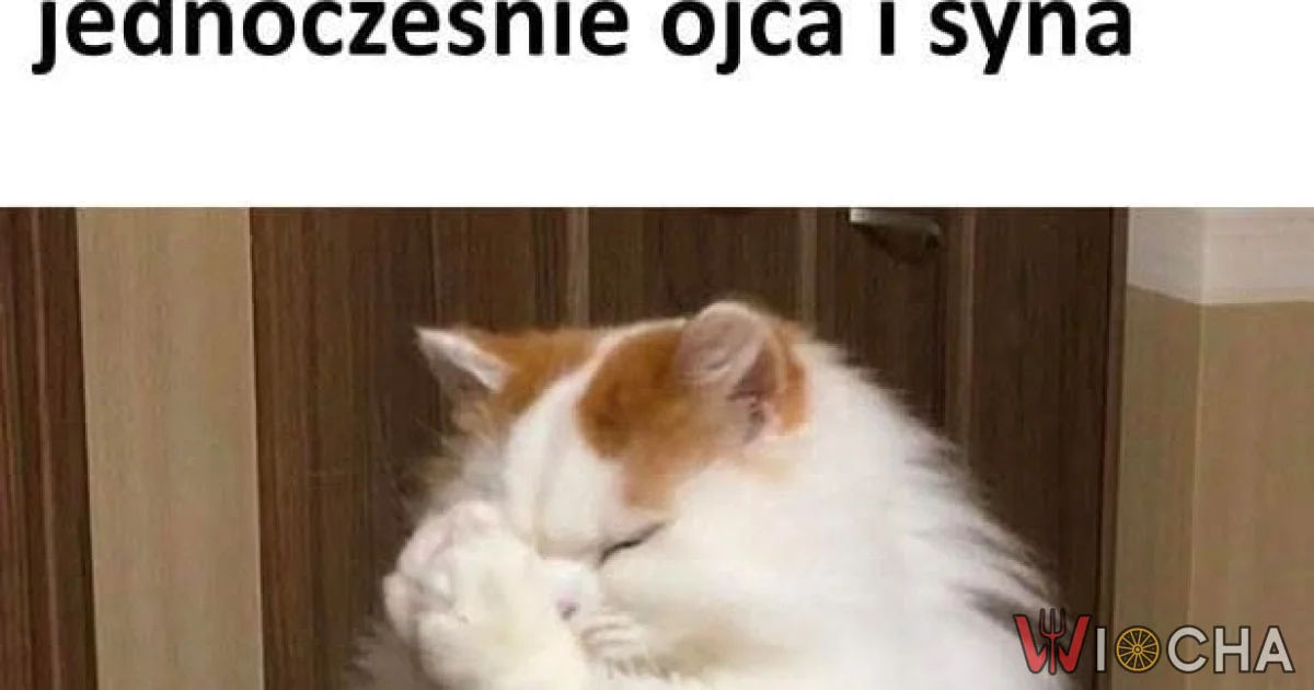 Kiedy masz dość rodzinnym dramatów