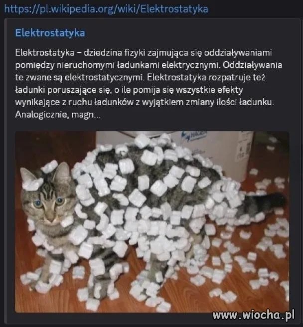 W szkole próbowali latami