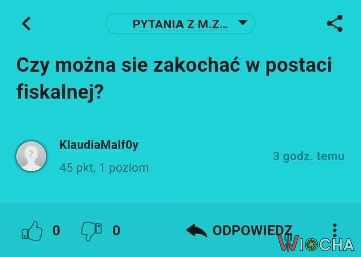 Można, wszystko można