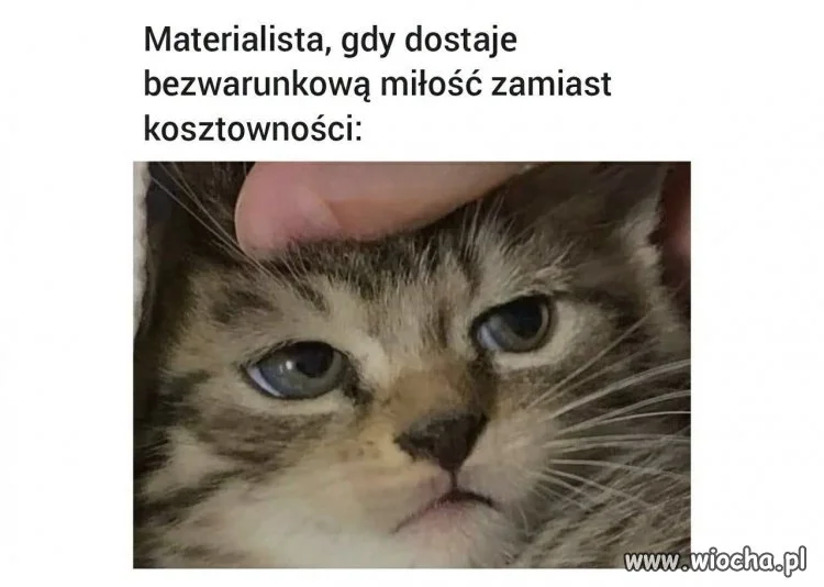 Ja tylko chciałem pieniądze