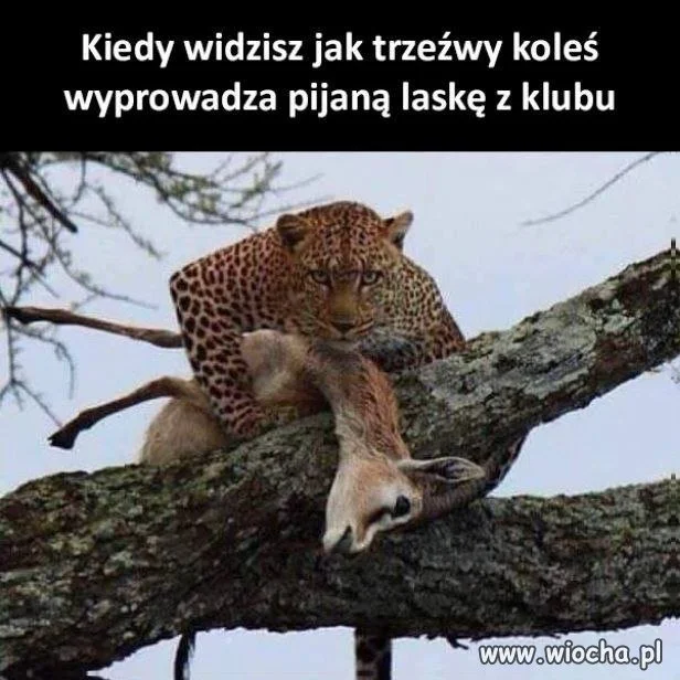 Nie wiem kto jest kim na tym zdjęciu