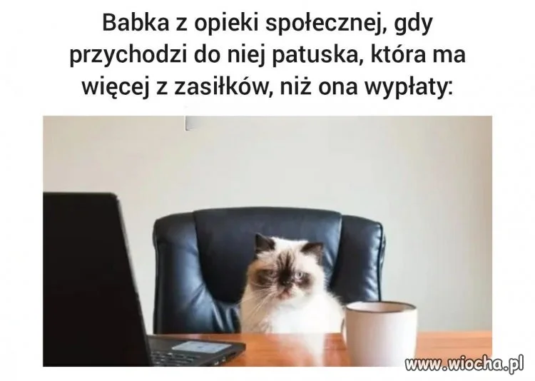 Gdzie się podział mój zasiłek?