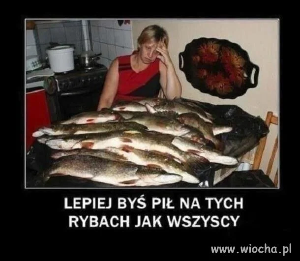Lepiej byś piwo wypił