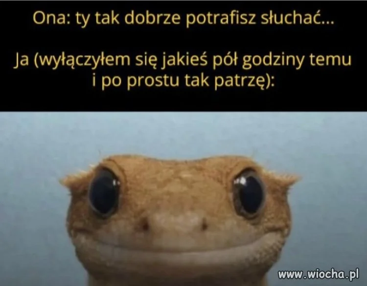 Kto potrzebuje uszu?