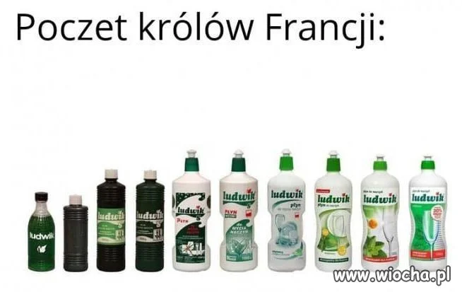 Francuzi chyba lubią imię Ludwik