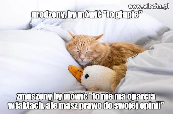 Prawda w świecie opinii