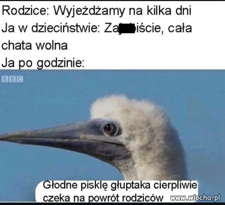 Super, że wyjeżdżacie, możecie nawet nie wracać