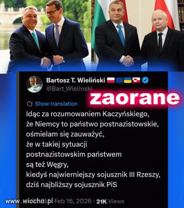 I to pisowskim pajacom nie przeszkadza