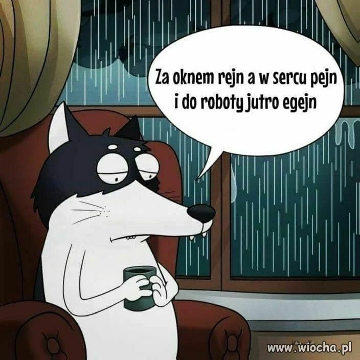 Dzień jak co dzień