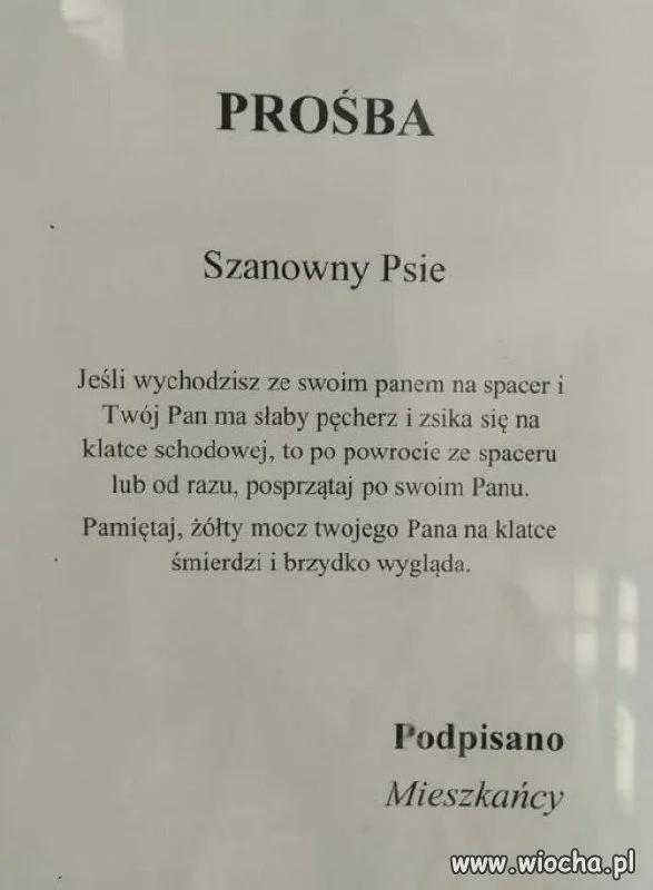 Może to nie psy są problemem