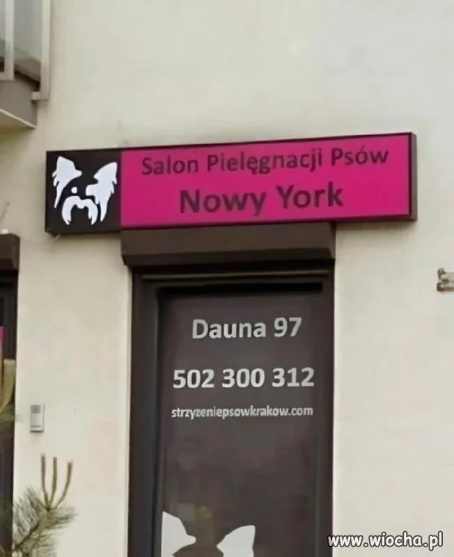 Salon Pielęgnacji Psów