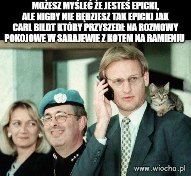 Kot pomagał w negocjacjach