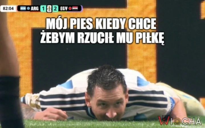 Kiedy pies prosi o piłkę
